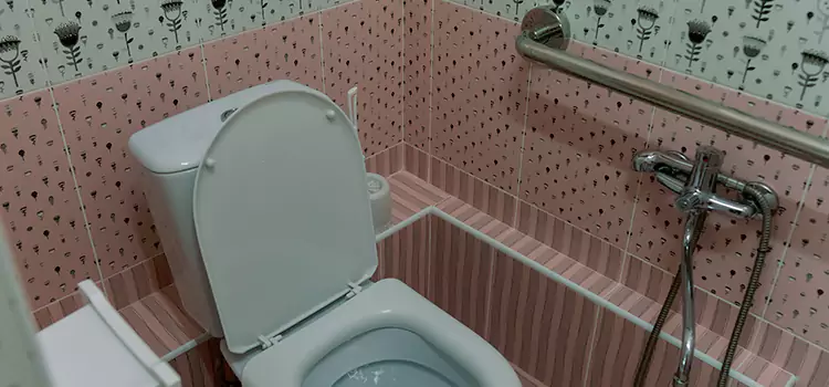 Meeting Diverse Needs With Accessible Restroom Solutions in Lancaster, TX